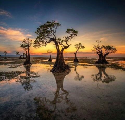 Walakiri Beach: Exploring the Serene Beauty of East Nusa Tenggara ...