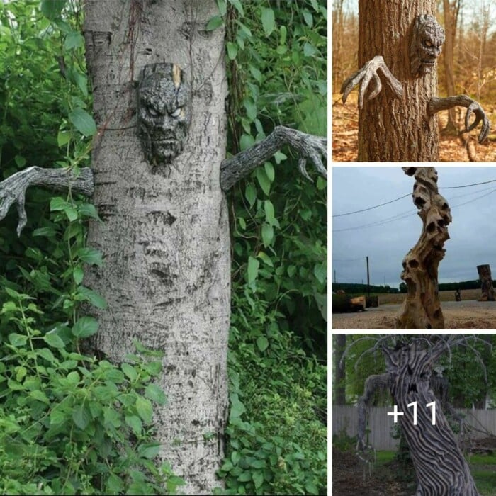The Enigmatic Charm of Creepy Tree Faces Unveiling Nature's Mysterious