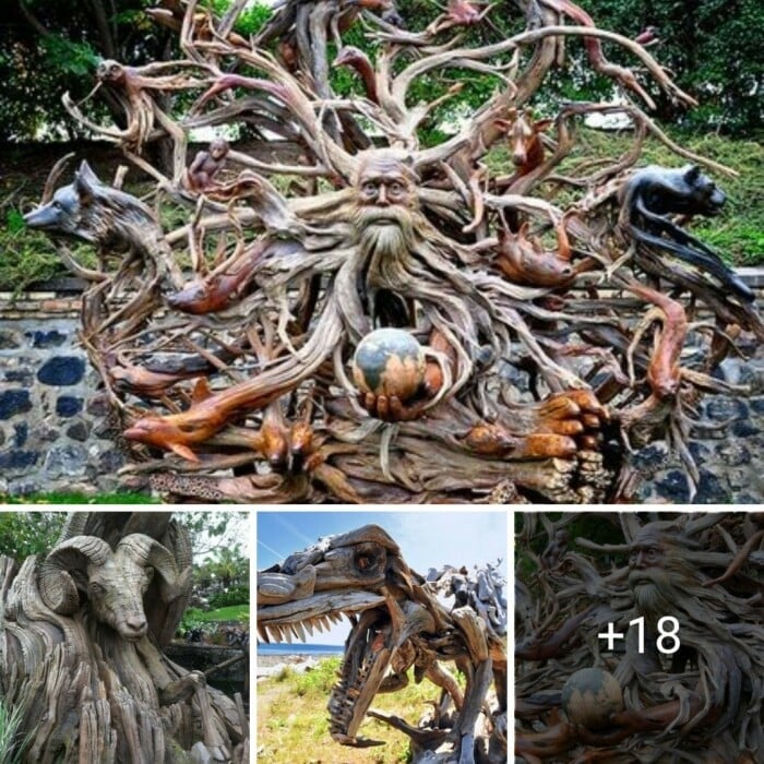 The Captivating World Of Driftwood Art Nature S Masterpieces   18 