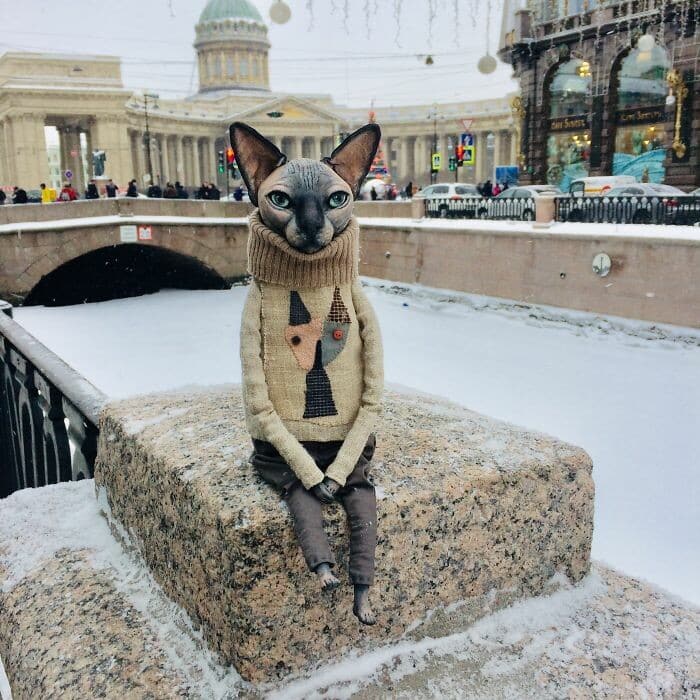 Одетый сфинкс. Куклы сфинксы Санкт-Петербурга. Кошки сфинкса куклы Питер. Одетый сфинкс на улице. Одетый сфинкс на прогулке.