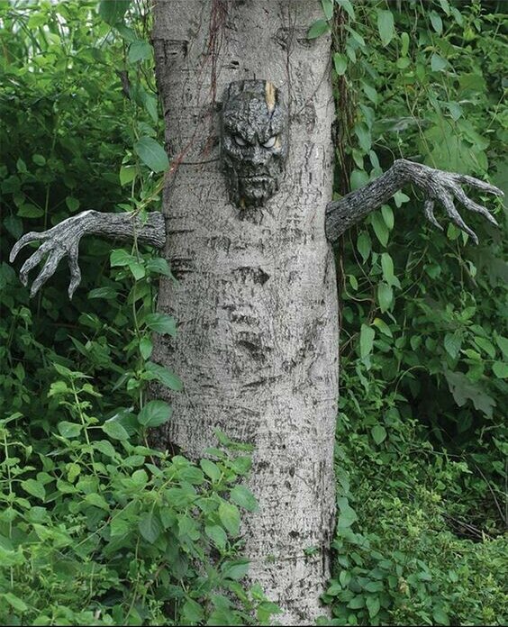 The Enigmatic Charm Of Creepy Tree Faces: Unveiling Nature's Mysterious 