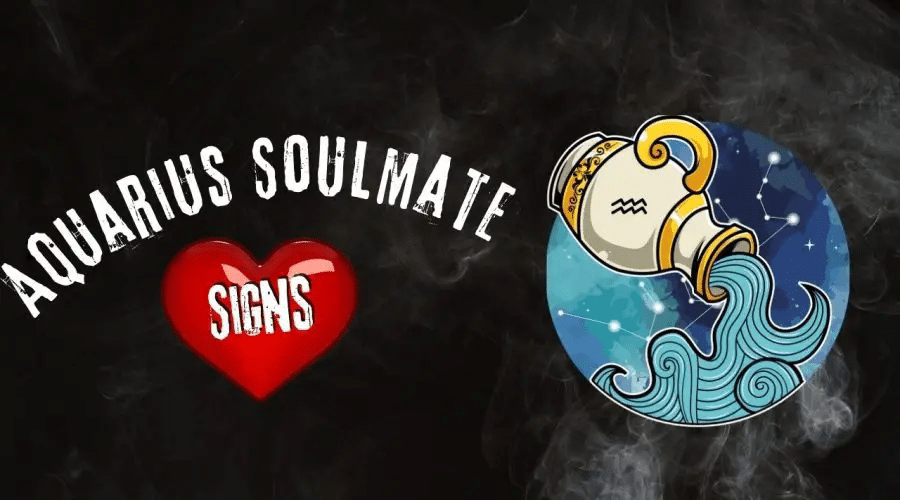 4 Zodiac Signs That Could Be Aquarius Soulmates Daily Viral