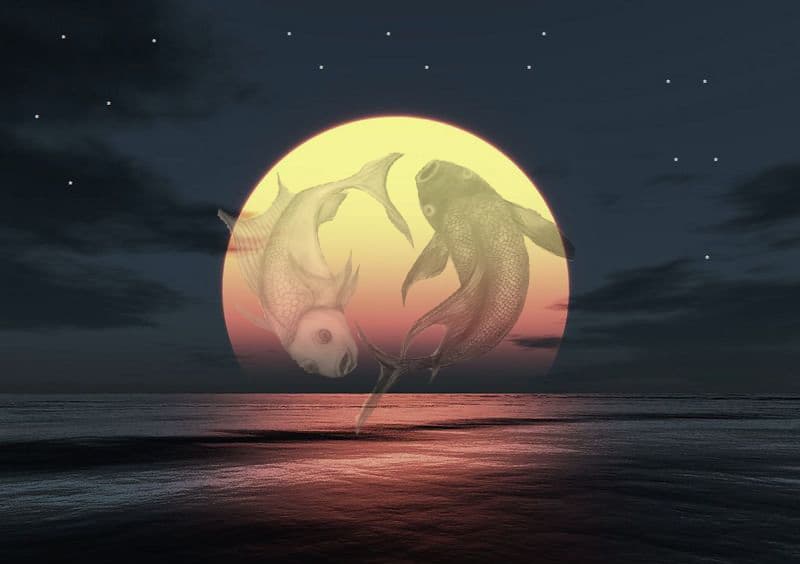 Pisces Full Moon September 2024 Astrology Rana Ursula