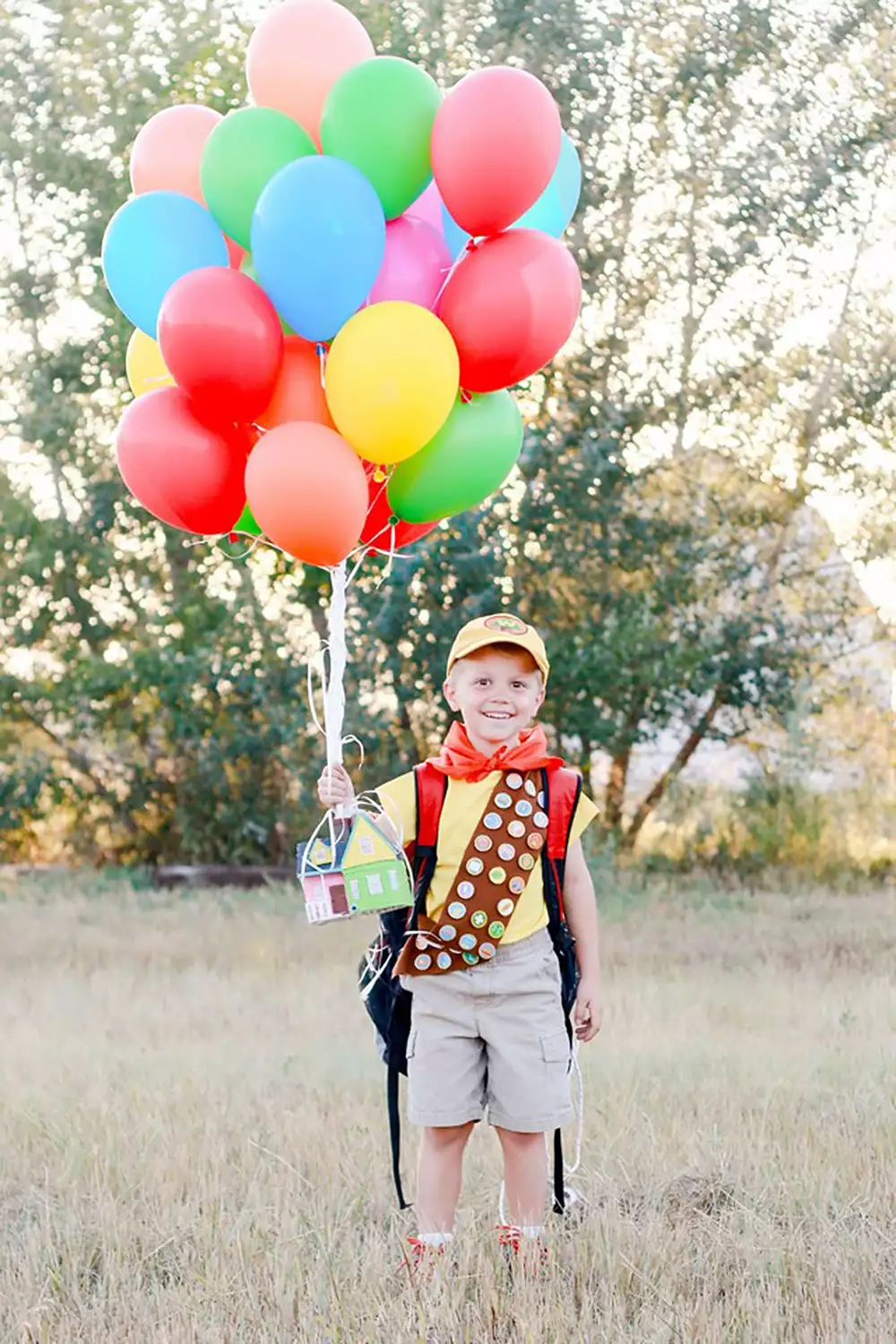 Rachel Perman did an UP-themed photo shoot for her son's 5th birthday.