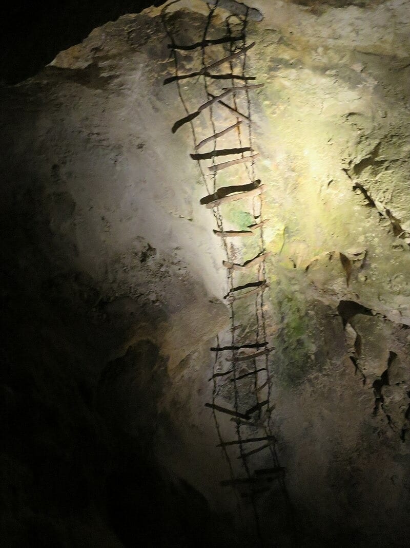 A ladder used by the first explorers in the Carlsbad Caverns