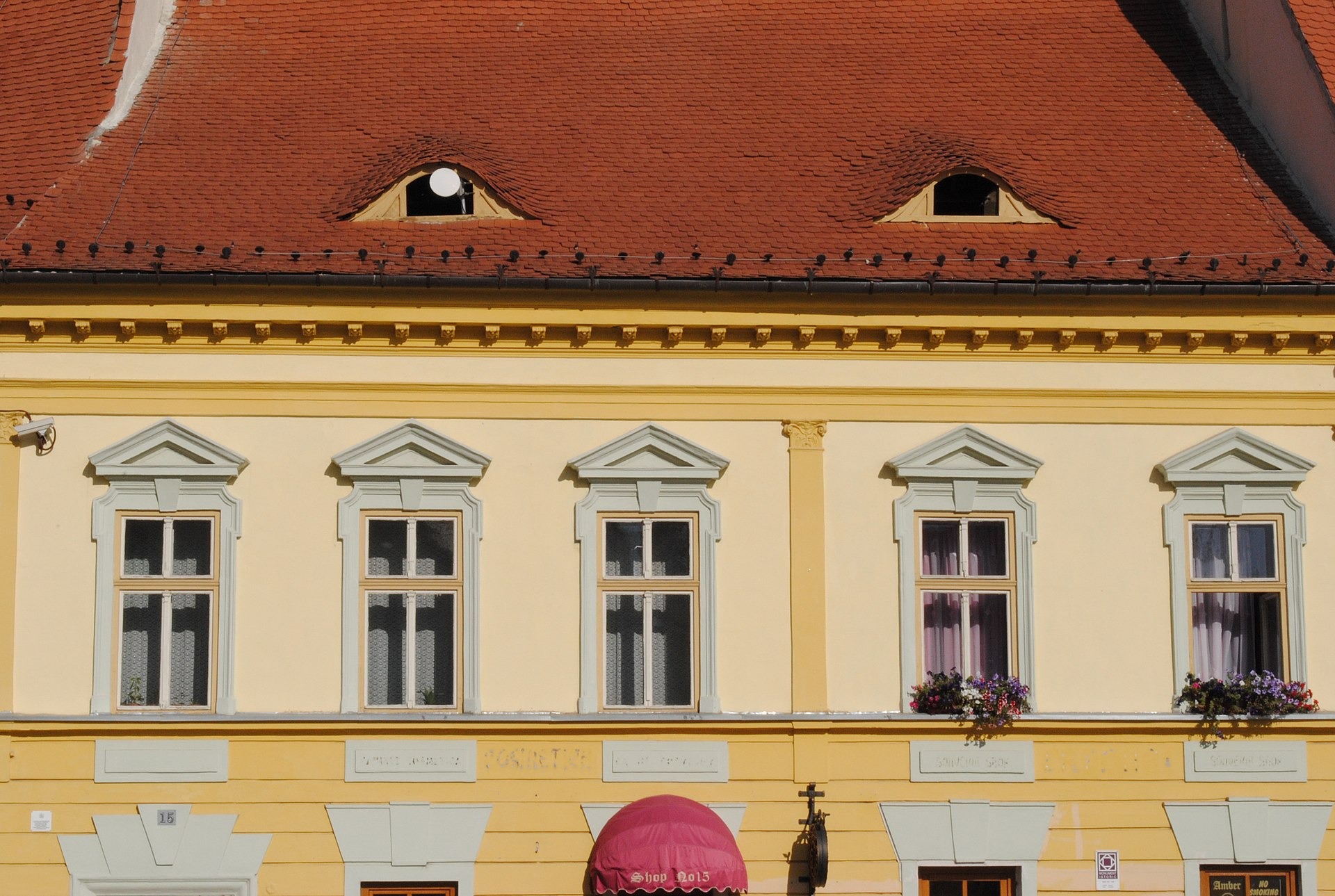 A rounded version of the eyes, Grand Square of Sibiu