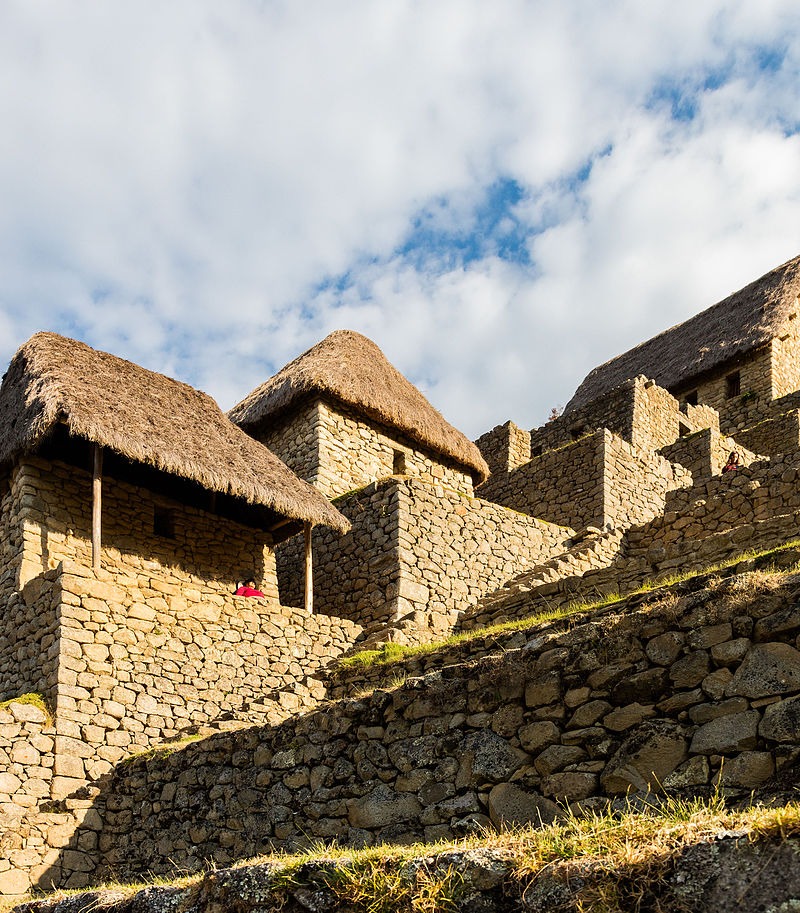 Colcas on the agricultural sector