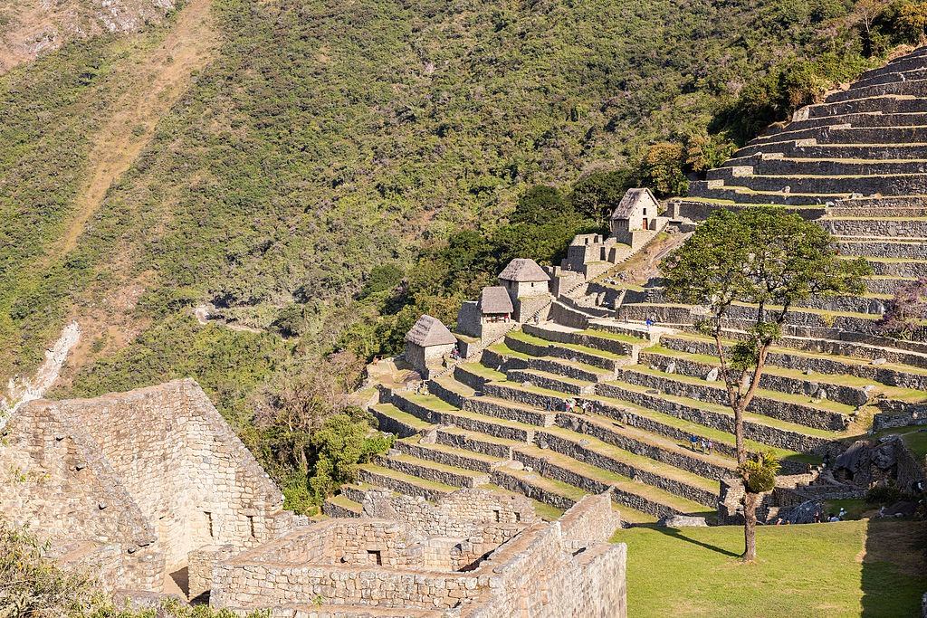 Terraces