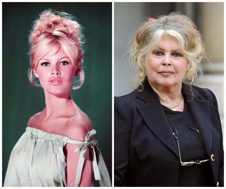 Less-Known Facts About Brigitte Bardot, The French Blonde Bombshell