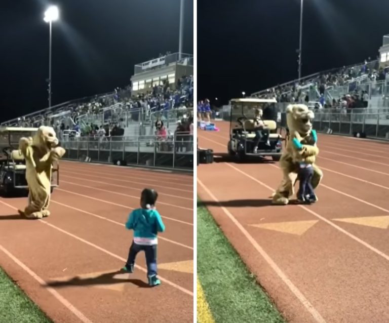 When A Little Girl And Mascot Have Epic Dance-Off, The Crowd Goes Wild