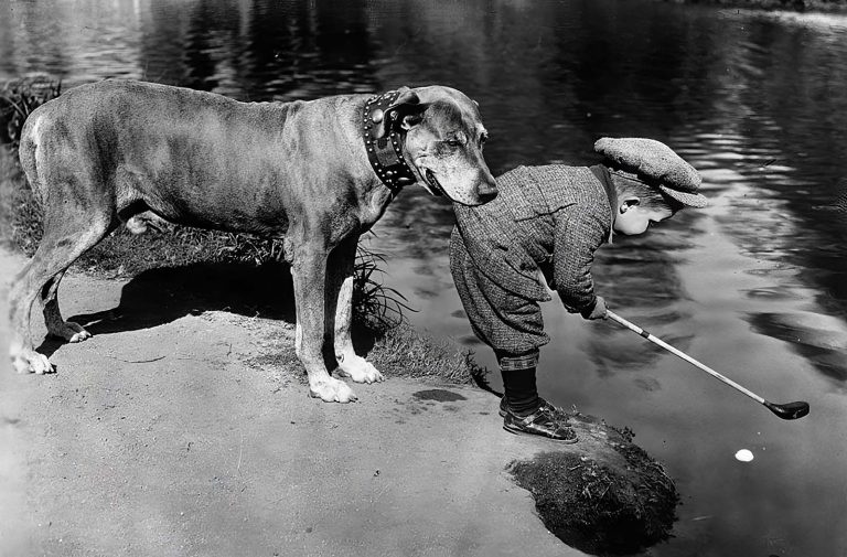 30+ Vintage Photos Of People And Cherished Pets From Days Gone By That Make You Go ‘Awww’