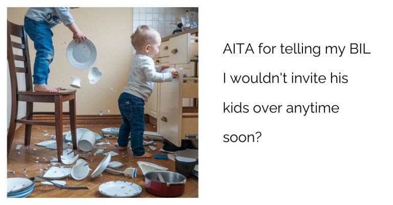 AITA for telling my BIL I wouldn’t invite his kids over anytime soon?