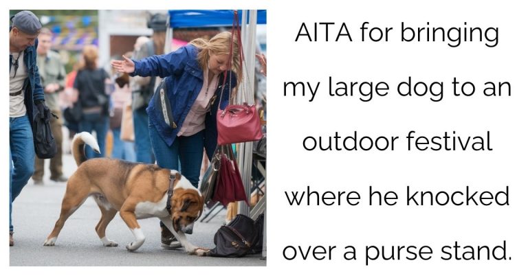 AITA for bringing my large dog to an outdoor festival where he knocked over a purse stand ?