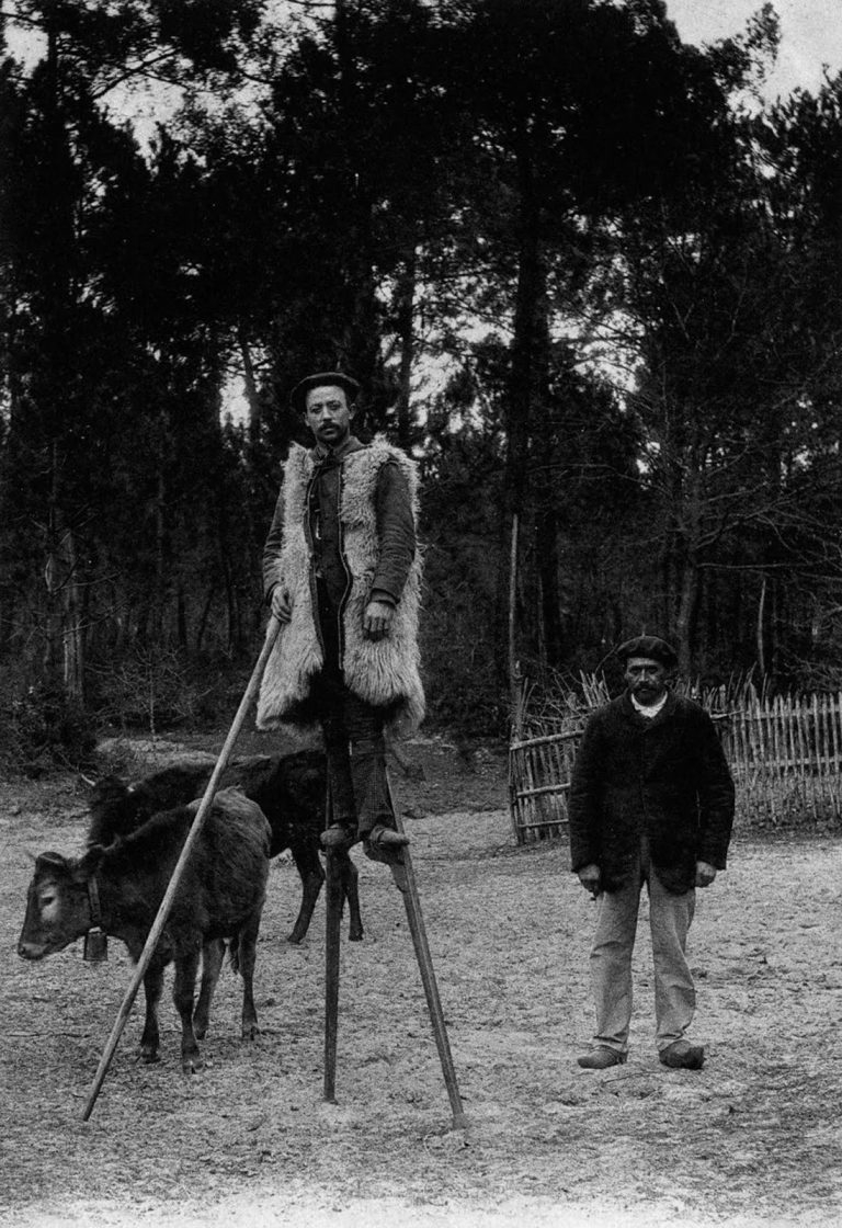 Rare Photos Of France's Stilt-Walking Shepherds: Grassland Life From ...