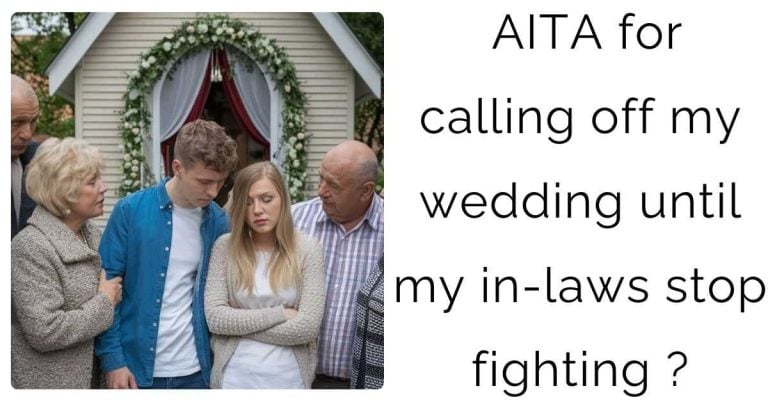 AITA for calling off my wedding until my in-laws stop fighting ?