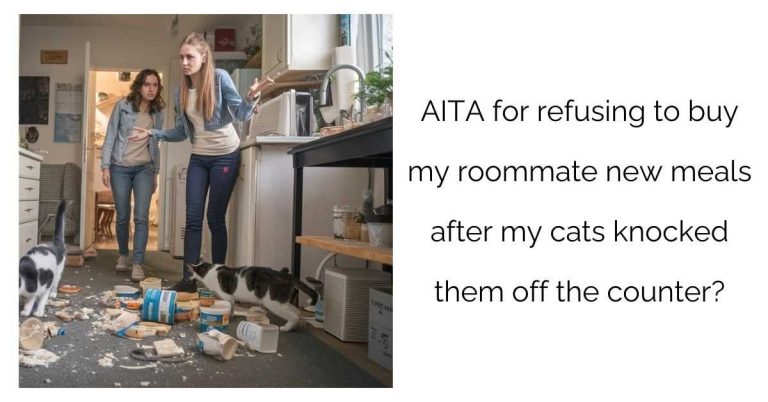 AITA for refusing to buy my roommate new meals after my cats knocked them off the counter?