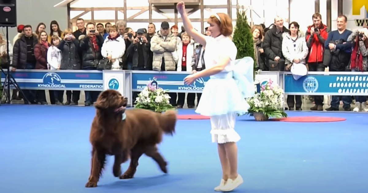 Her Dance Was Great, But Her Dog’s Moves Stole The Show!