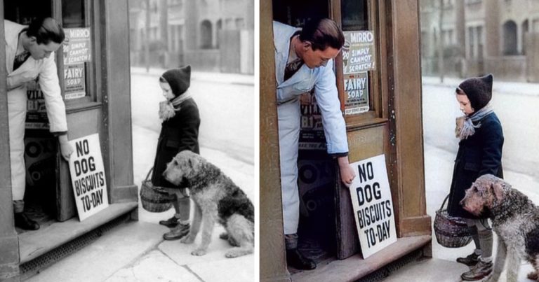 “No Dog Biscuits Today”: A Photo That Revealed A Horrific Event Of 1939