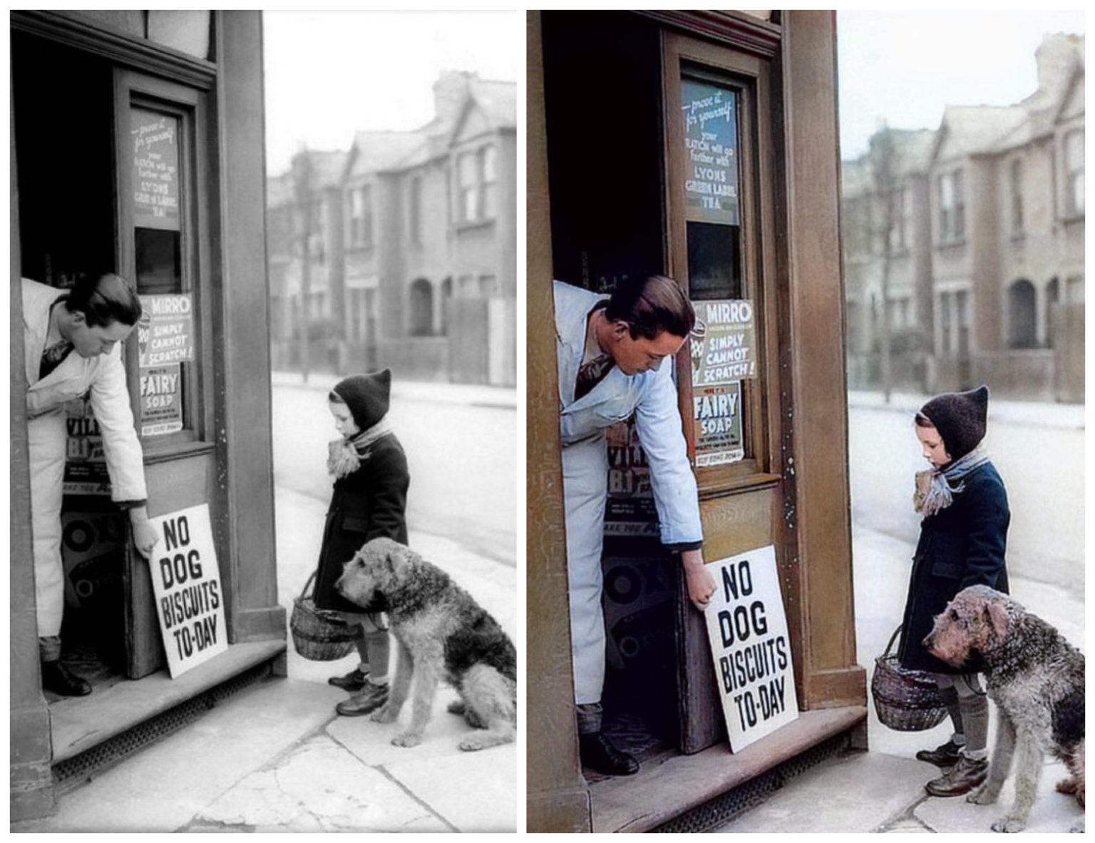 “No Dog Biscuits Today” A Photo That Revealed A Horrific Event Of 1939