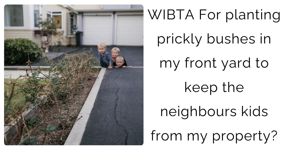 WIBTA For planting prickly bushes in my front yard to keep the neighbours kids from my property?