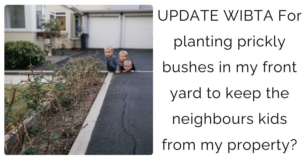 UPDATE WIBTA For planting prickly bushes in my front yard to keep the neighbours kids from my property?