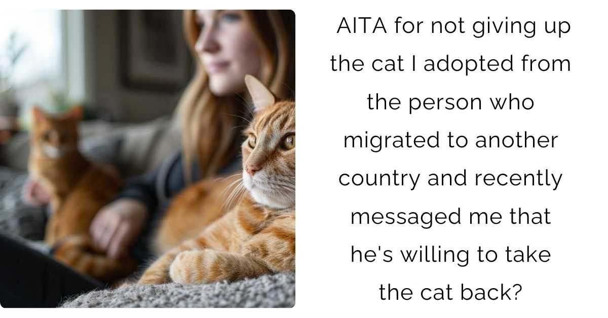 AITA for not giving up the cat I adopted from the person who migrated to another country and recently messaged me that he’s willing to take the cat back?