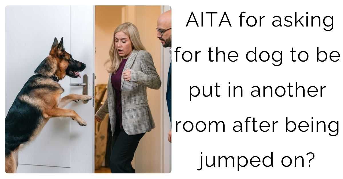 AITA for asking for the dog to be put in another room after being jumped on?