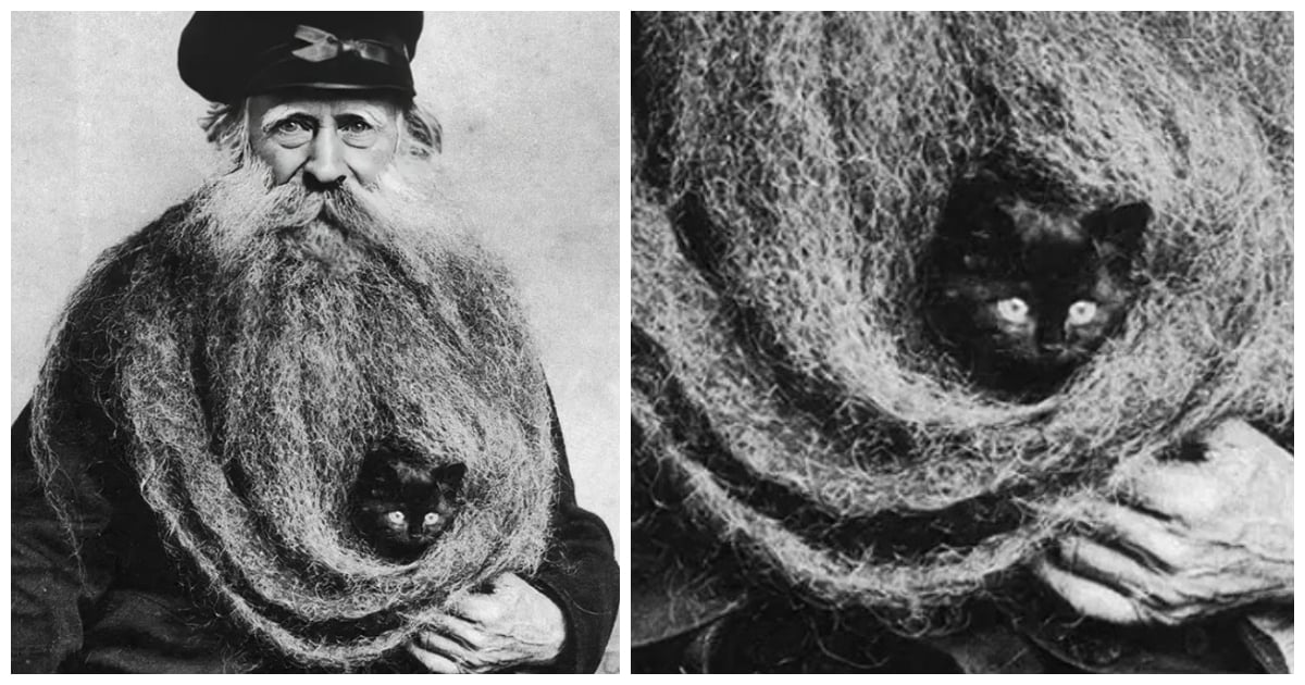 Louis Coulon, Who Turned His 11-Foot Beard Into A Cozy Cat Haven