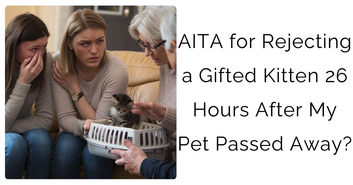 AITA for Rejecting a Gifted Kitten 26 Hours After My Pet Passed Away?