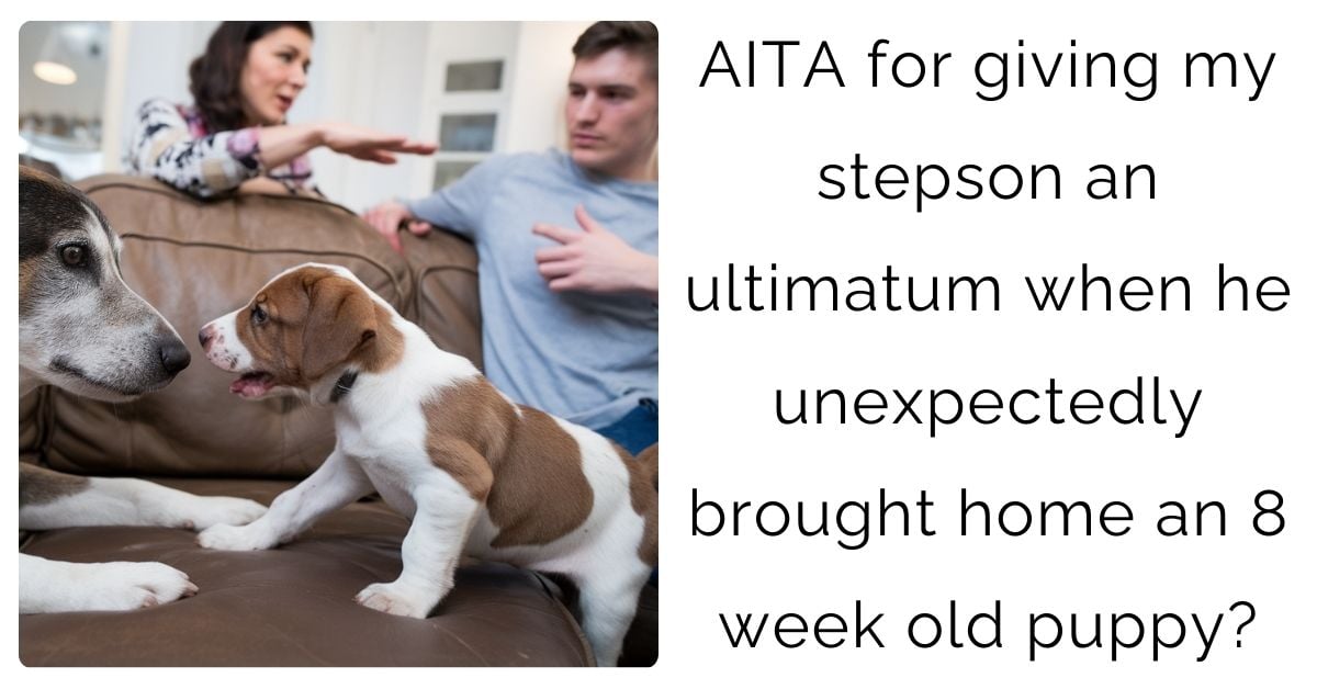 AITA for giving my stepson an ultimatum when he unexpectedly brought home an 8 week old puppy?