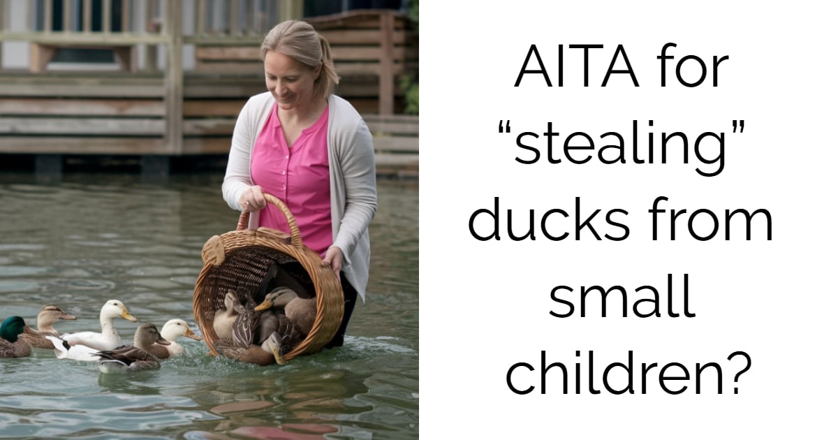 AITA for “stealing” ducks from small children?