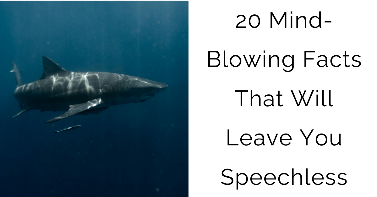 20 Mind-Blowing Facts That Will Leave You Speechless